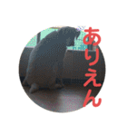 ペットの代弁⑤（個別スタンプ：30）