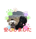 ペットの代弁⑤（個別スタンプ：32）