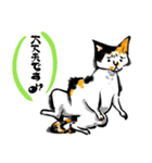 三毛猫メィちゃんスタンプ、敬語と感情（個別スタンプ：1）