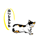 三毛猫メィちゃんスタンプ、敬語と感情（個別スタンプ：6）