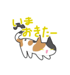 キュートなねこスタンプ（個別スタンプ：25）