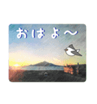 礼文島の旅かもめ vol.1（個別スタンプ：18）