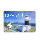 礼文島の旅かもめ vol.1（個別スタンプ：19）