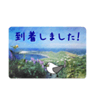 礼文島の旅かもめ vol.1（個別スタンプ：24）