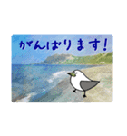 礼文島の旅かもめ vol.1（個別スタンプ：25）