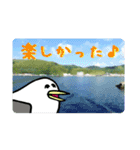 礼文島の旅かもめ vol.1（個別スタンプ：30）