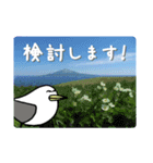 礼文島の旅かもめ vol.1（個別スタンプ：31）