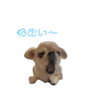 ウチのミール君②（個別スタンプ：10）
