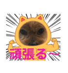 マレンとシェロ（個別スタンプ：7）