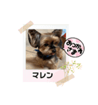 マレンとシェロ（個別スタンプ：10）