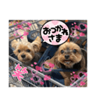 マレンとシェロ（個別スタンプ：16）