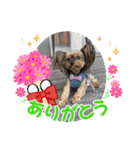 マレンとシェロ（個別スタンプ：20）