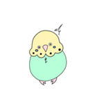 セキセイなインコ（個別スタンプ：11）