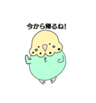 セキセイなインコ（個別スタンプ：27）