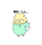 セキセイなインコ（個別スタンプ：28）