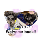 Maruku ＆laina（個別スタンプ：6）