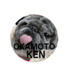 OKAMOTO KEN KUN（個別スタンプ：1）