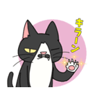 シシシうさぎ MIX 4（個別スタンプ：6）