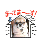 承太郎と露伴（個別スタンプ：5）