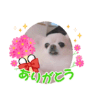 承太郎と露伴（個別スタンプ：9）