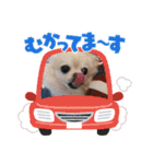 承太郎と露伴（個別スタンプ：10）
