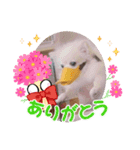 承太郎と露伴（個別スタンプ：16）