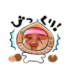 A＆Yスタンプ2（個別スタンプ：38）