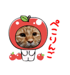たわなつ（個別スタンプ：6）