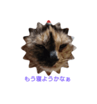 たわなつ（個別スタンプ：7）