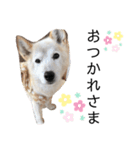 かりんandみゅう②（個別スタンプ：4）