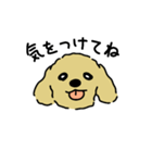 ジョン と いっしょ（個別スタンプ：7）