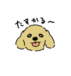 ジョン と いっしょ（個別スタンプ：25）