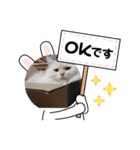 マフィンとお話（個別スタンプ：3）