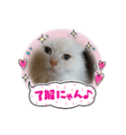 マフィンとお話（個別スタンプ：7）