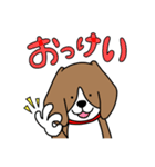 毎日ビーグル犬（個別スタンプ：1）