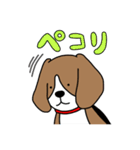 毎日ビーグル犬（個別スタンプ：7）