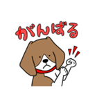 毎日ビーグル犬（個別スタンプ：9）