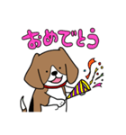 毎日ビーグル犬（個別スタンプ：12）