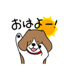 毎日ビーグル犬（個別スタンプ：13）