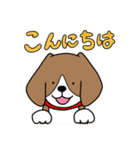毎日ビーグル犬（個別スタンプ：14）