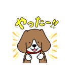 毎日ビーグル犬（個別スタンプ：18）