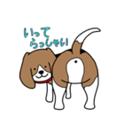毎日ビーグル犬（個別スタンプ：19）