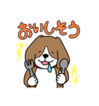 毎日ビーグル犬（個別スタンプ：23）
