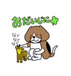 毎日ビーグル犬（個別スタンプ：24）