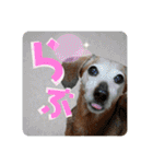 桃ちスタンプ2（個別スタンプ：8）