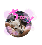 桃ちスタンプ2（個別スタンプ：12）