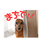 桃ちスタンプ2（個別スタンプ：18）