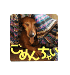 桃ちスタンプ2（個別スタンプ：21）
