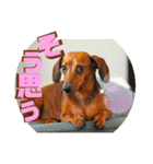 桃ちスタンプ2（個別スタンプ：26）