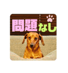 桃ちスタンプ2（個別スタンプ：27）